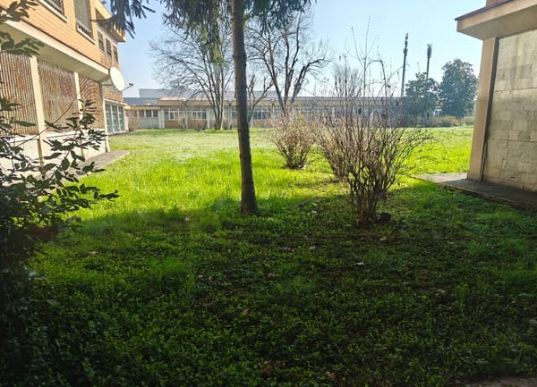 Il laboratorio all'aria aperta